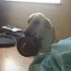 Mandy Shaffer - @mandy.shaffer3 - TikTok