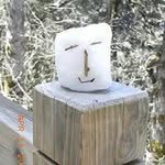 Mandy Shum - @shummandymandy - Instagram