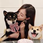 Mandy Siu - @antoniomandy - Instagram