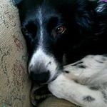 Mandy Evans / Steward - @mandy.evans007 - Instagram