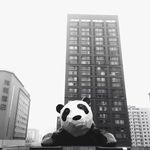 Mandy_still - @mandy_chen23 - Instagram