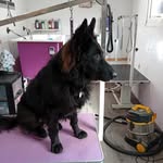 mandy stone - @estonegsd - Instagram