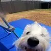 Mandy Templeman - @mandy.templeman - TikTok
