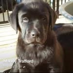 Mandy Trafford - @mandytrafford - Instagram