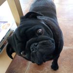 Mandy Tucker - @mandy.tucker.7399 - Instagram