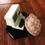 Mandy Tuttle - @one_little_.turtle - Instagram