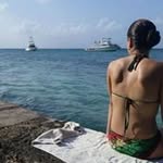 Mandy Urbany - @mandyurbany - Instagram