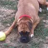 Mandy Wakefield - @mandy.wakefield4 - TikTok