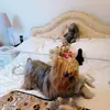 mandywakefield38 - @mandywakefield38 - TikTok