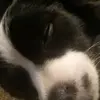 Mandy Wallace - @mandy.wallace15 - TikTok