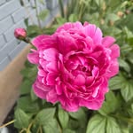 Mandy Welsh Christensen - @lifeomandy - Instagram