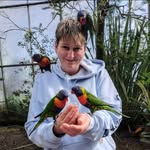 Mandy Wright - @vwgirl78 - Instagram
