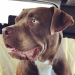Mandy Wright - @mandywrightatx - Instagram