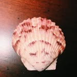 amanda yoder - @oceanbaubles - Instagram
