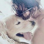 Manfred Von Calderón - @manfredvoncr - Instagram