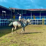 Manfred Castro - @manfred_castro_ - Instagram