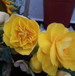 Manfred Decker - Facebook