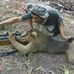 Manfred Ernst - Facebook