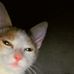 Manfred González - Facebook