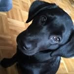 Manfred Herzog - @manfred.herzog.5 - Instagram