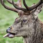 Manfred Hirsch - @manfred.hirsch.bonn - Instagram