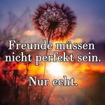 Manfred Kopp - @koppmanfred6 - Instagram