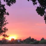 Manfred Krause - @m.krause1955 - Instagram