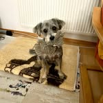 Manfred Langer - @rattex777 - Instagram