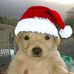 Manfred Lopez - Facebook