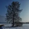 manfredmann871 - @manfredmann871 - TikTok