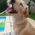 Manfred Mayer - @manfred2765 - Instagram