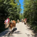 Manfred Messner - @manfredmessner - Instagram