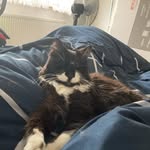 Manfred Michel - @backstr3am - Instagram