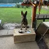Manfred Petri - @manfred.petri - TikTok