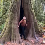 Manfred Petri - @petri.manfred - Instagram