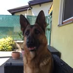 Manfred Petri - @petrimanfred - Instagram