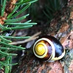 Manfred Reiter - @manfred81288 - Instagram