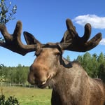Manfred Ritter - @manfred__2018 - Instagram