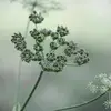 manfredschuler - @manfredschuler - TikTok