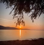 Manfred Schuster - Facebook