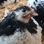Manfred Seidel - @manfred.juergen.seidel - Instagram