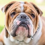 Manfred Spencer - @spencermanfred - Instagram
