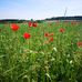 Manfred Staiger - Facebook