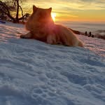 Manfred Stark - @manfred681 - Instagram