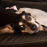 Manfred Starke - @starkemanfred - Instagram