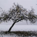 Manfred Stock - Facebook