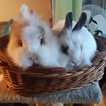 manfred stockbauer - @stockbauermanfred - Instagram