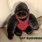 Manfred Stockmeyer - @manfredstockmeyer - Instagram
