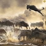 Manfred Stoll - @manfredstoll - Instagram