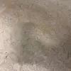 Manfred - @thomas.manfred0 - TikTok
